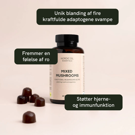 Medicinske svampe gummies