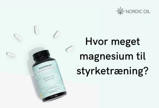 Hvor meget magnesium til styrketræning?
