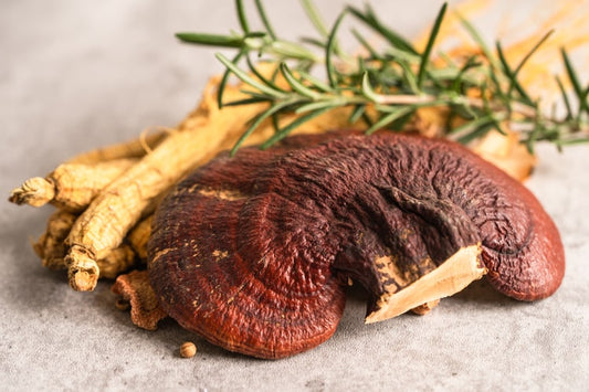 Reishi-svamp: Naturlig støtte til immunforsvaret og mental velvære