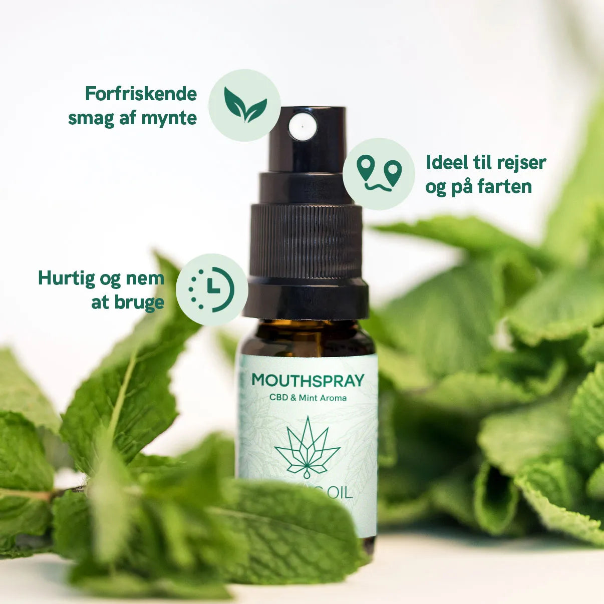 Mouthspray med CBD og mint aroma omgivet af friske mynteblade