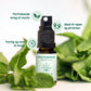 Mouthspray med CBD og mint aroma omgivet af friske mynteblade
