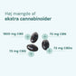 Infografik der viser høj mængde af ekstra cannabinoider (1800 mg CBD, 72 mg CBN, 72 mg CBDa og 72 mg CBG) i kapsler.