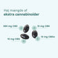 Illustration af CBD-kapsler med oplysninger om cannabinoiderne: 384 mg CBD, 15 mg CBN, 15 mg CBDa og 15 mg CBG.