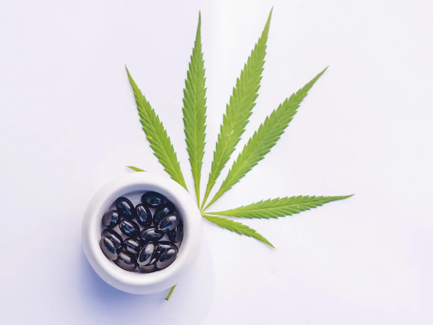 CBD-kapsler i en hvid skål ved siden af et cannabisblad