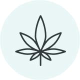 Hamp plante ikon 