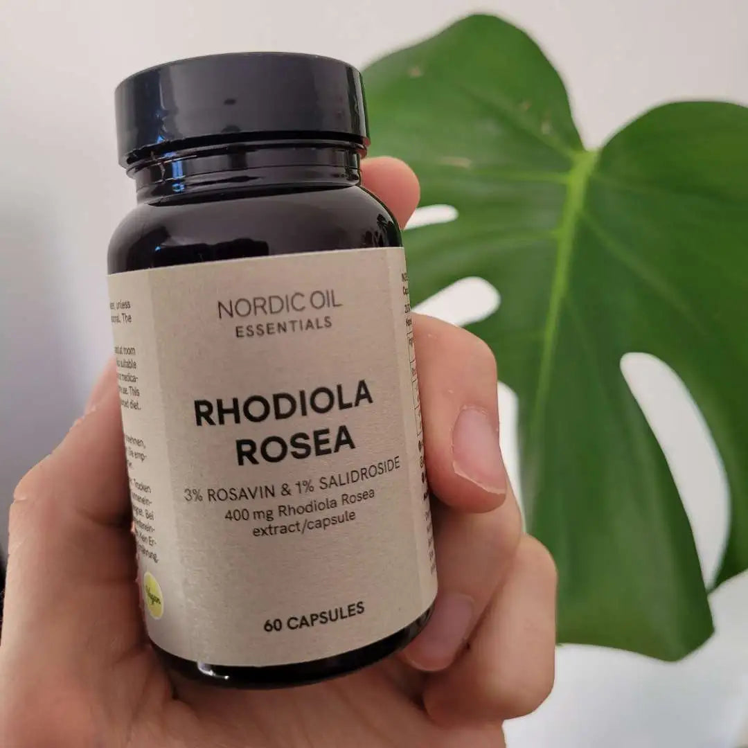Rhodiola Rosea kosttilskud i mørk flaske med Nordic Oil Essentials-etiket, 60 kapsler, holdt af en hånd foran en grøn plante