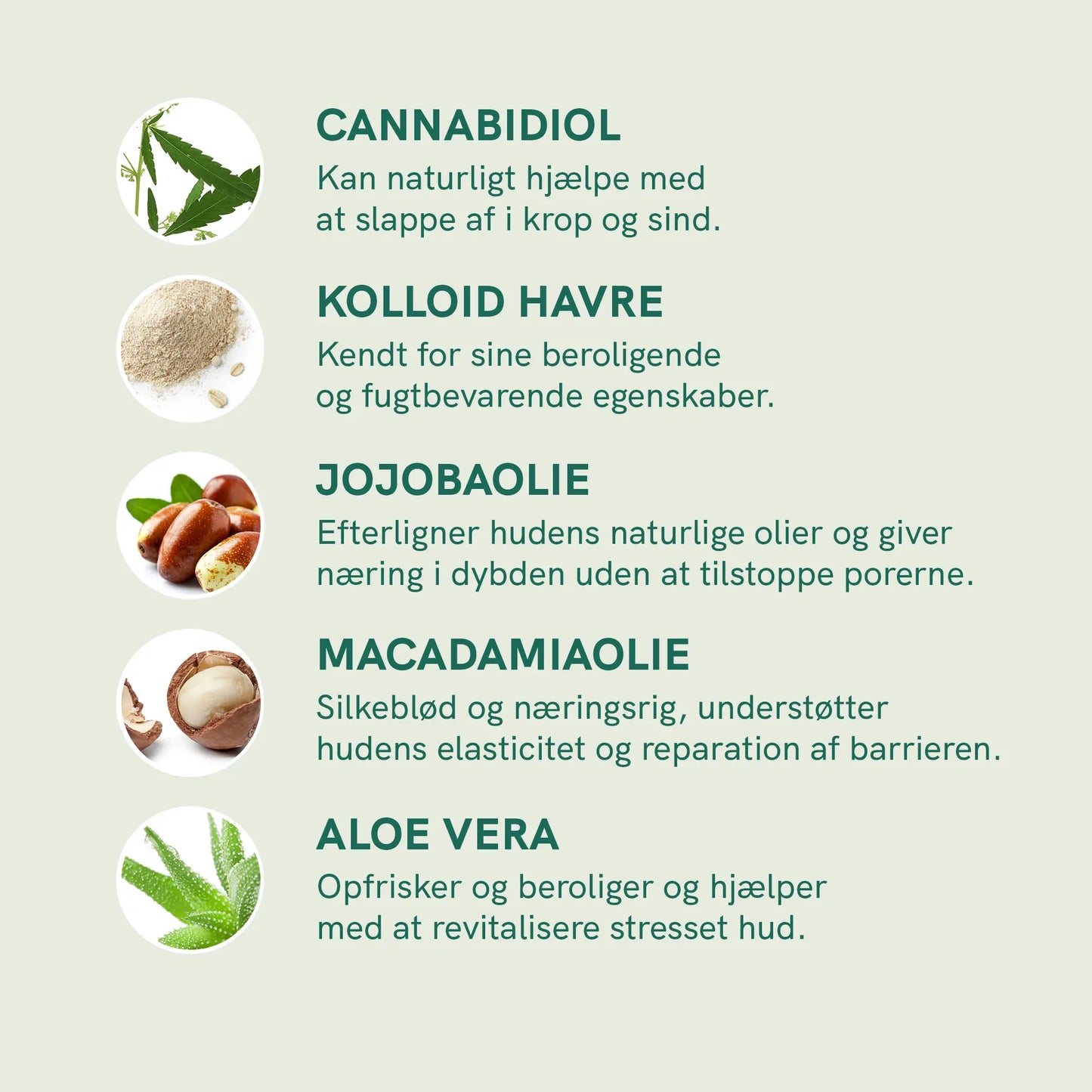 Infografik med fem hudplejeingredienser: Cannabidiol, kolloid havre, jojobaolie, macadamiaolie og aloe vera.