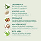 Infografik med fem hudplejeingredienser: Cannabidiol, kolloid havre, jojobaolie, macadamiaolie og aloe vera.