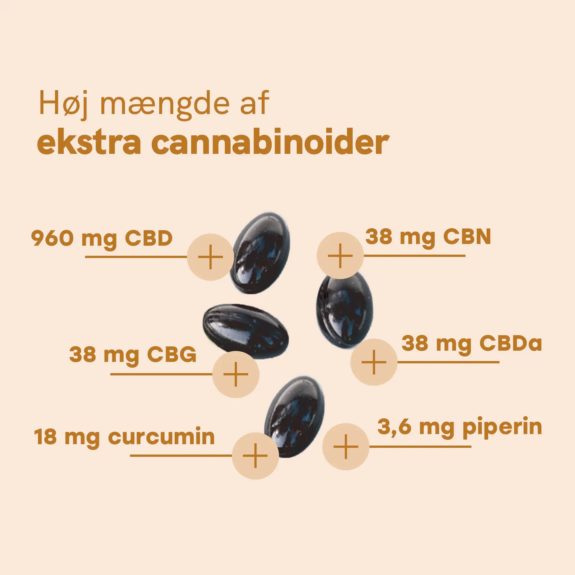 Infografik om høj mængde ekstra cannabinoids med kapsler og angivne mængder: 960 mg CBD, 38 mg CBN, 38 mg CBDa, 38 mg CBG, 18 mg curcumin og 3,6 mg piperin.