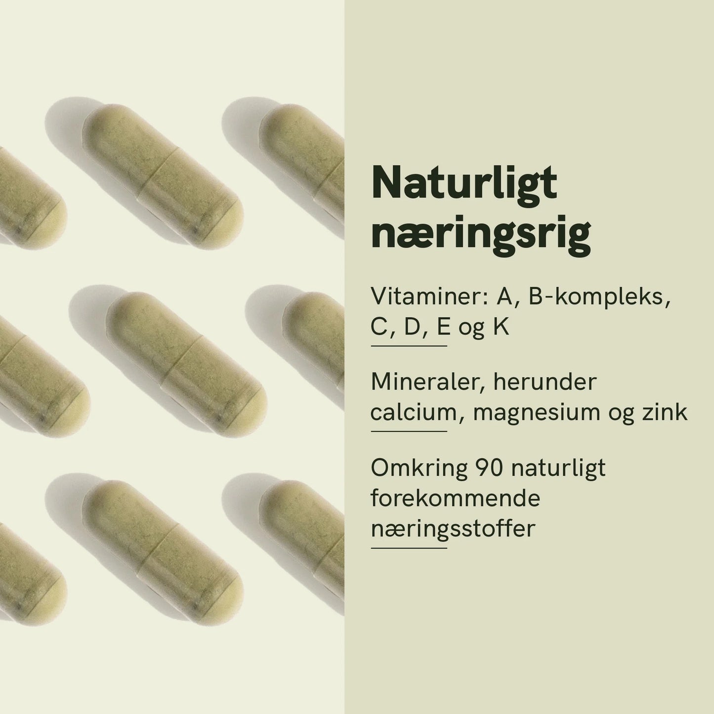 Moringa-pulver kapsler