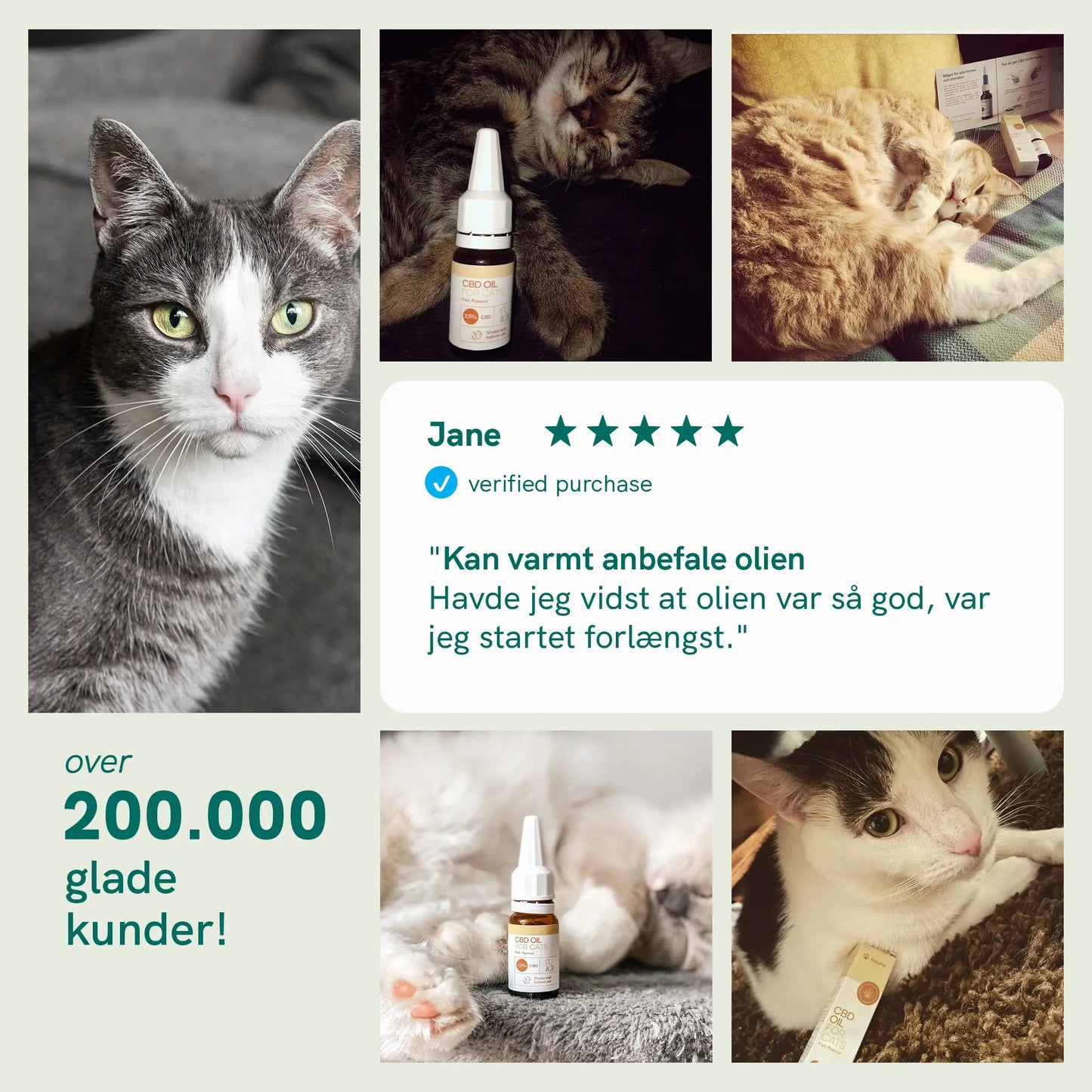 Kollage af katte og CBD-olieflasker med kundeudtalelse til Nordic Oil