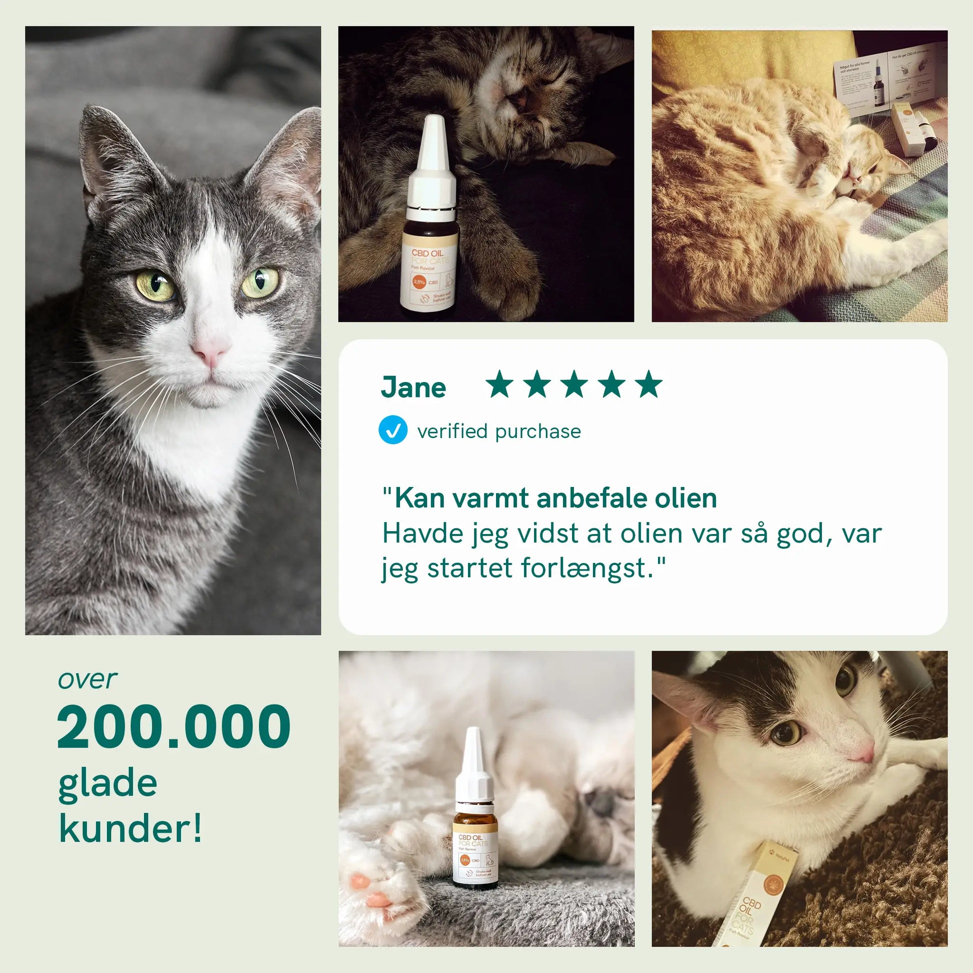 Kollage af katte og CBD-olieflasker med kundeudtalelse til Nordic Oil