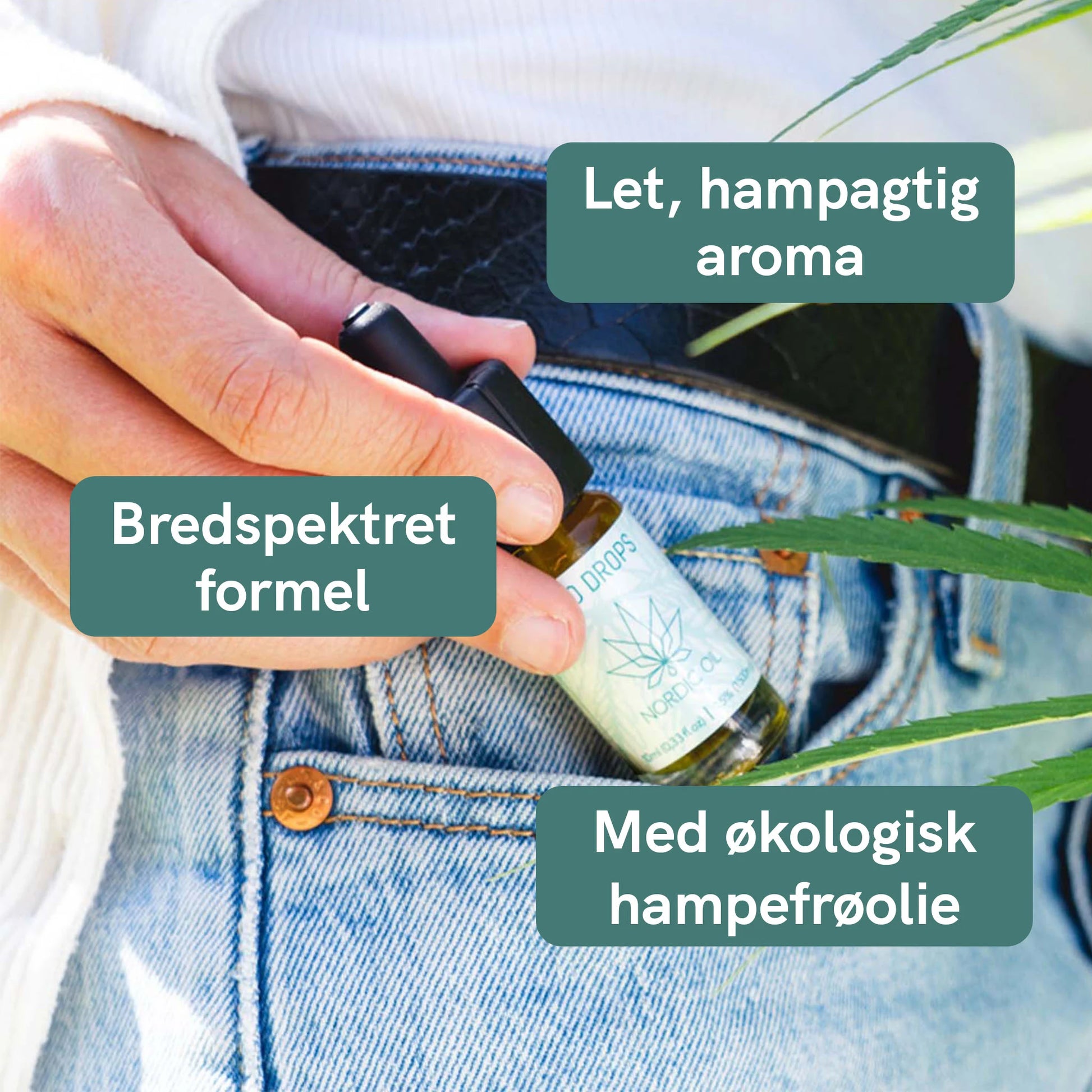 Hånd holder en flaske Nordic Oil CBD-oliedråber med hampblade i forgrunden