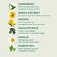 Infografik: Cannabidiol og urter – Arnika Ekstrakt, Perikon, Eukalyptusolie, Kamille og Pebermynte
