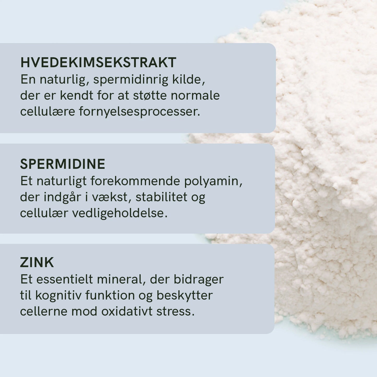 Spermidin kapsler