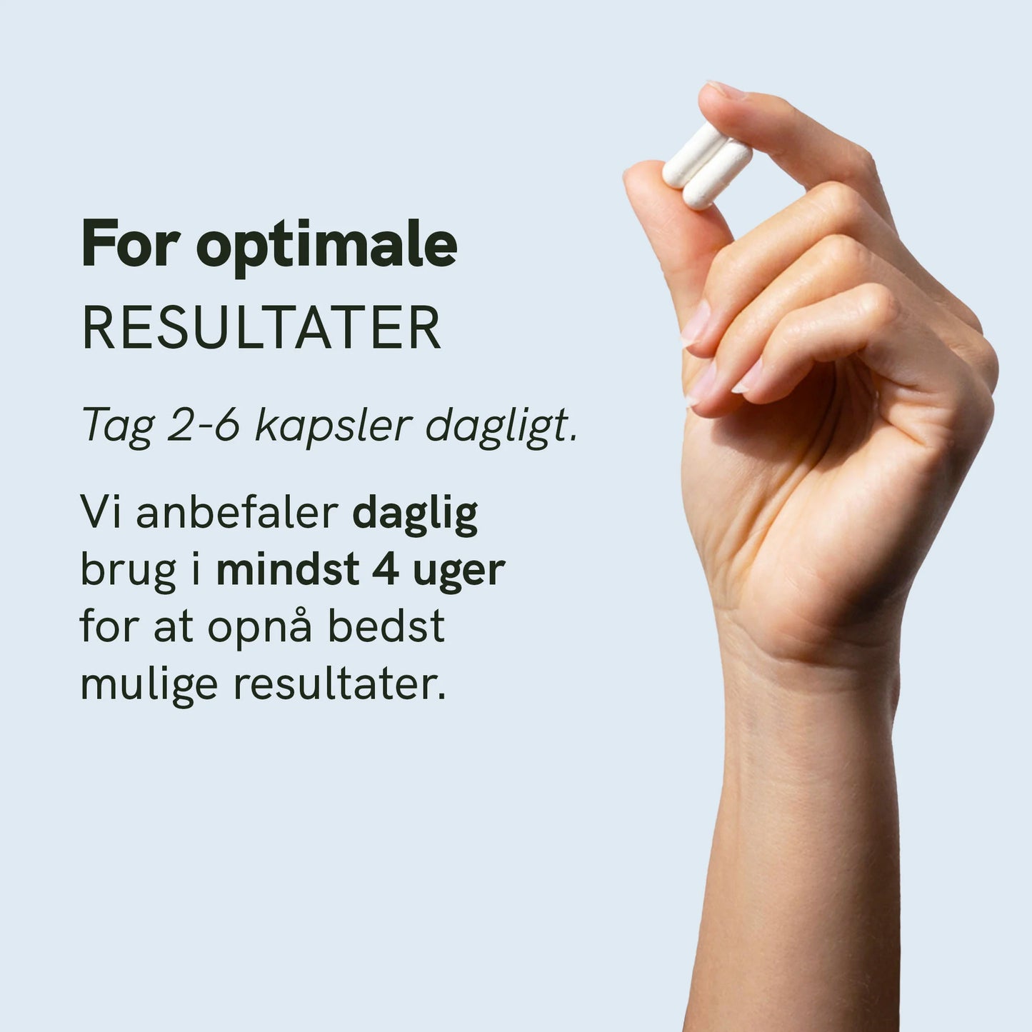Spermidin kapsler