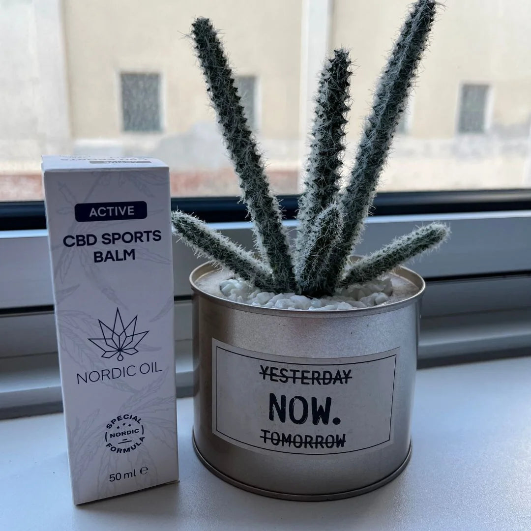 Active CBD Sports Balm-boks ved siden af en plante i en sølvfarvet krukke ved vindue.