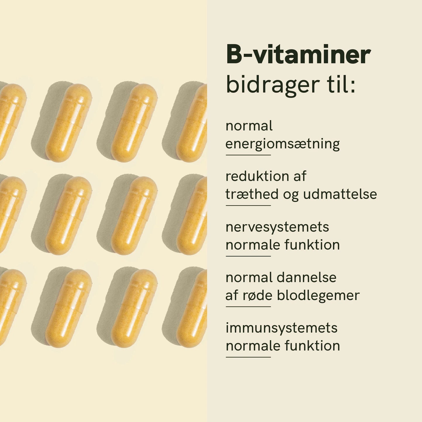 Vitamin B Kompleks